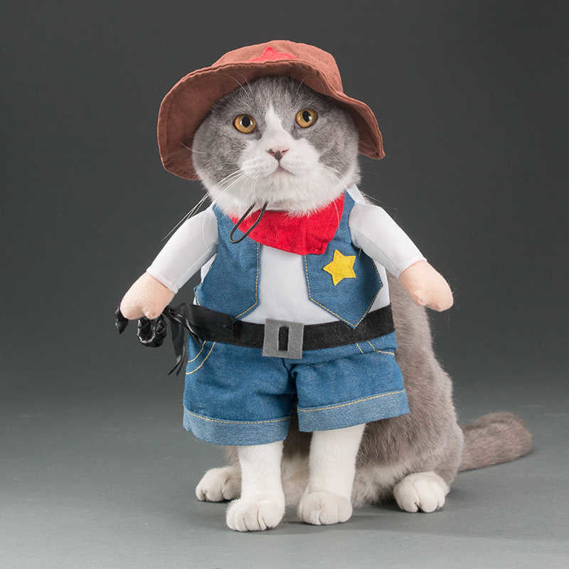 Funny Pet Costume