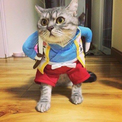 Funny Pet Costume