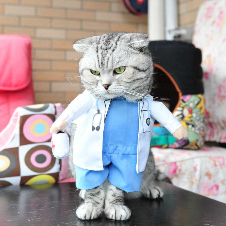 Funny Pet Costume