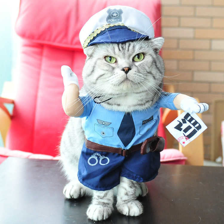 Funny Pet Costume