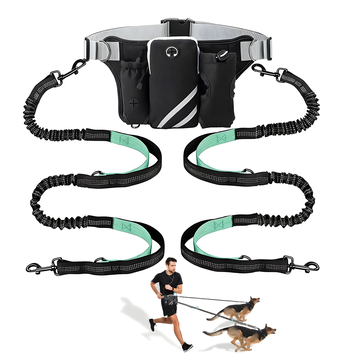 Dog Walking Waist Pack or Bungee Leash