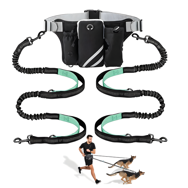 Dog Walking Waist Pack or Bungee Leash