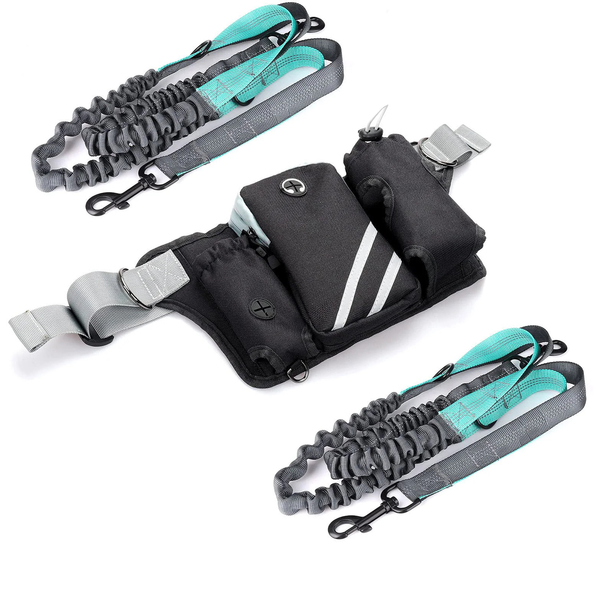 Dog Walking Waist Pack or Bungee Leash
