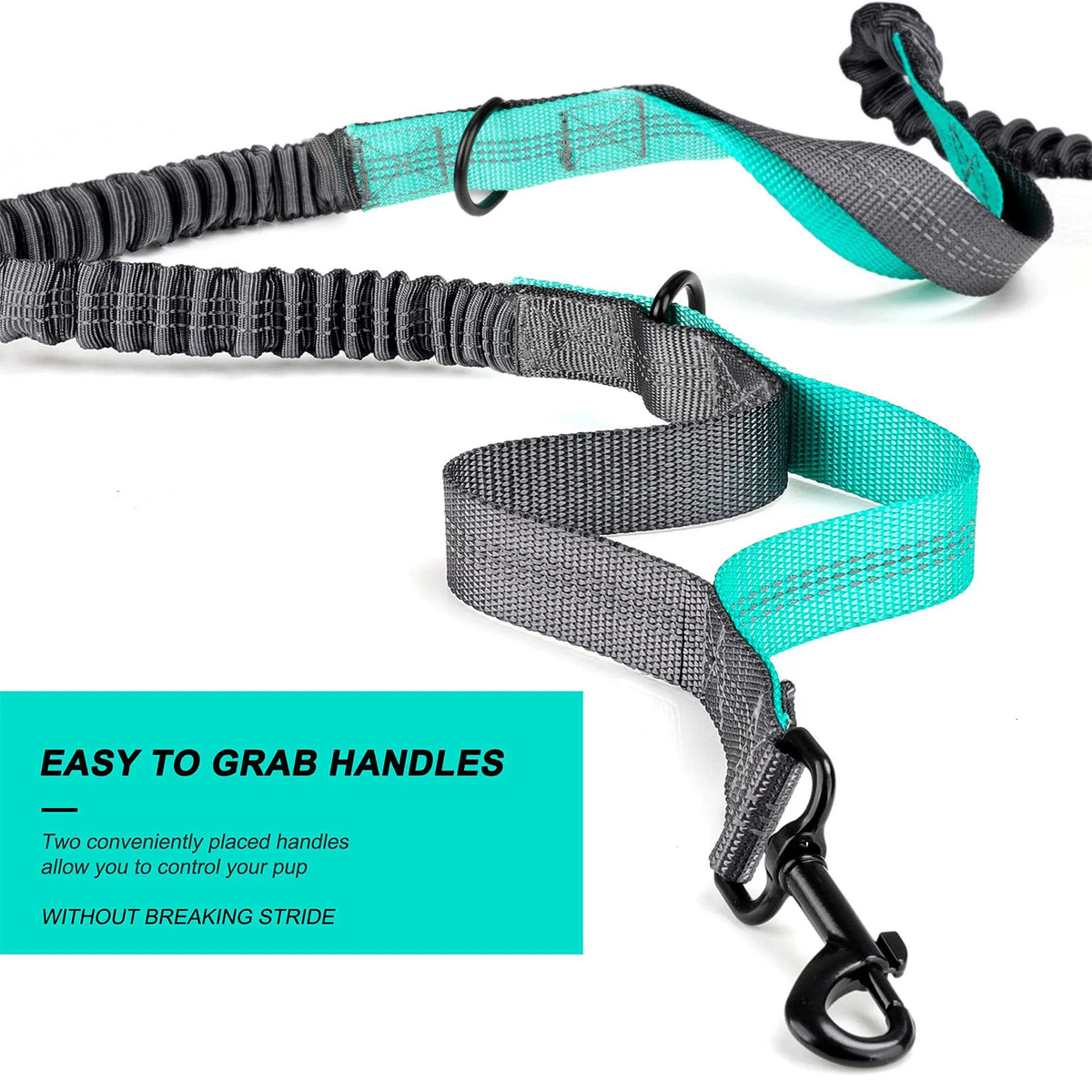 Dog Walking Waist Pack or Bungee Leash