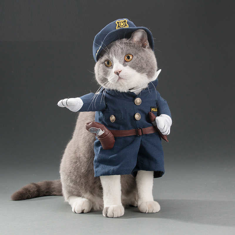 Funny Pet Costume