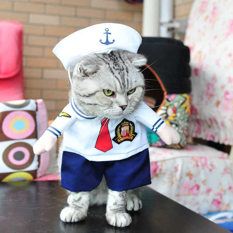 Funny Pet Costume