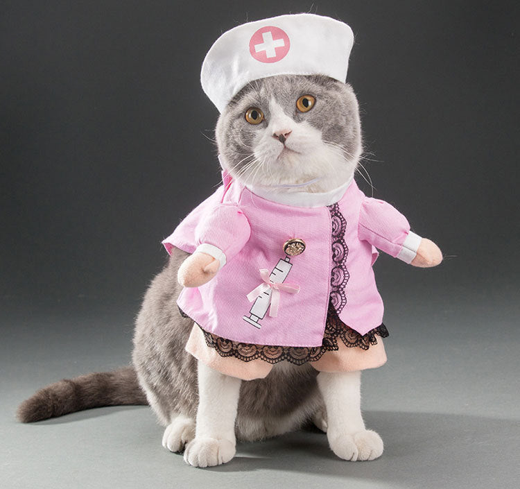 Funny Pet Costume