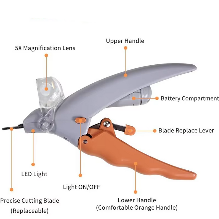LED light and magnifying lens product diagram